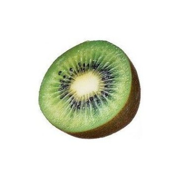 kiwiii png
