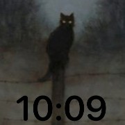 black cat