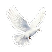 a white bird cartoon 2