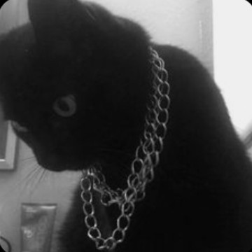 slag cat