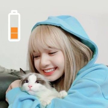 lisa blackpink