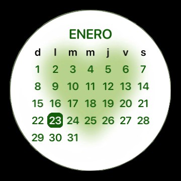 Calendario