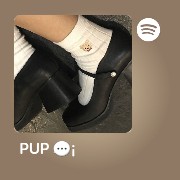 widget spotify