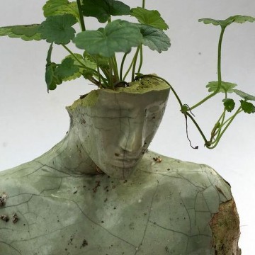 Green aesthetic Copy