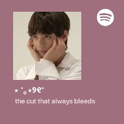 Spotify Love u all Copy