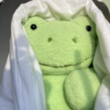 sage green froggy
