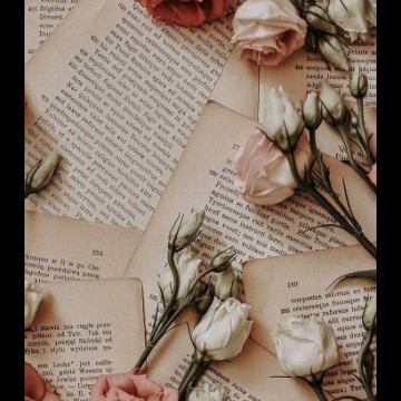 aestheticxx
