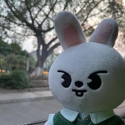 skz stray kids