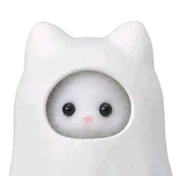 meow