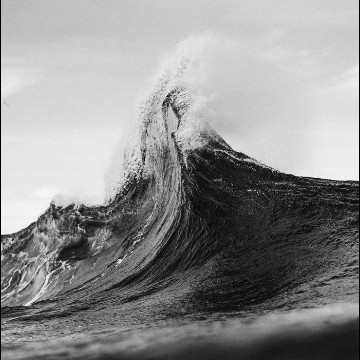 see black and white 