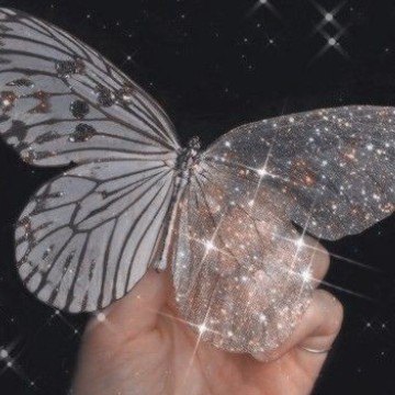 butterflyshine