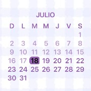 Small calendar kraft Copy