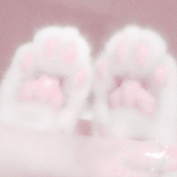 kitty paws
