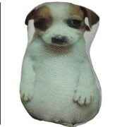 perrito panson Copy