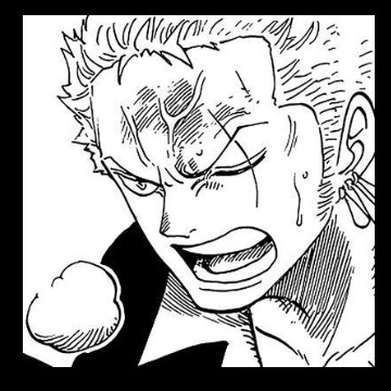 Zoro Roronoa. 