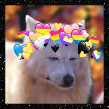 Non-Binary + Pansexual Wolf