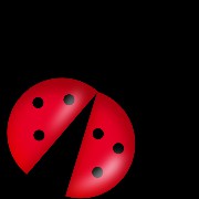 ladybug
