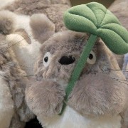 totoro