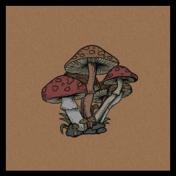 mushroom : 