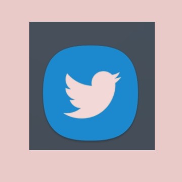 Twitter icon