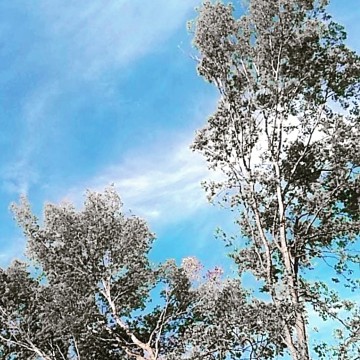 blue
