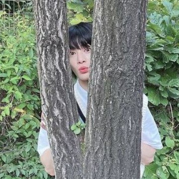 jeongin green