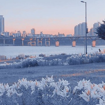 blue widget 