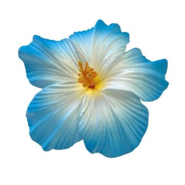 Blue flower