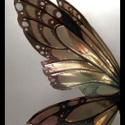 golden brown butterfly 