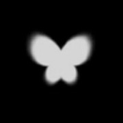 black butterfly