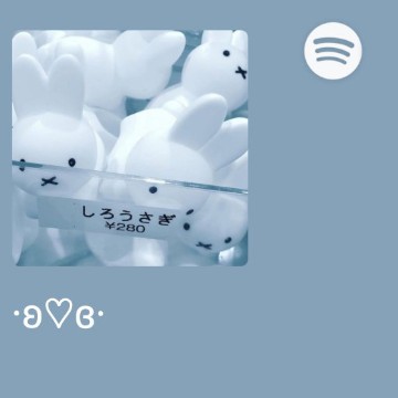 Spotify cute