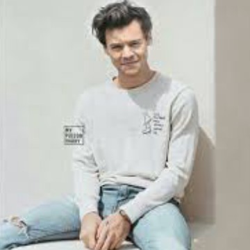 harry styles 