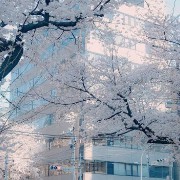 pastel blue