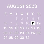 calendar Copy
