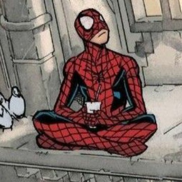 spiderman panel