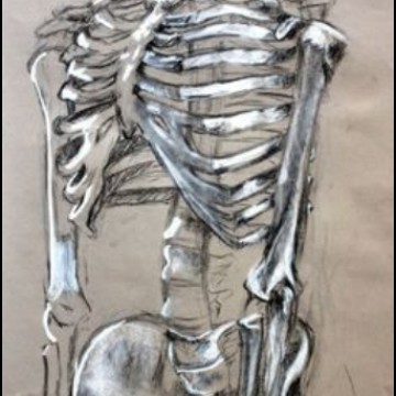 skeleton