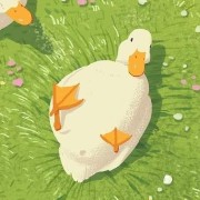 duck