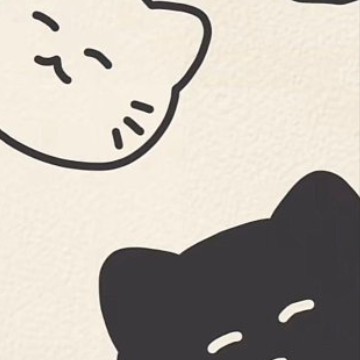 cat image