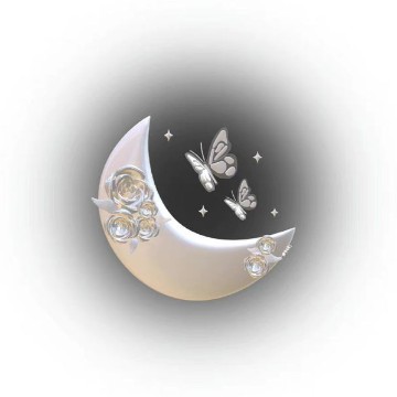 aesthetic moon