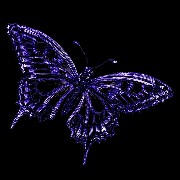 Violet butterfly