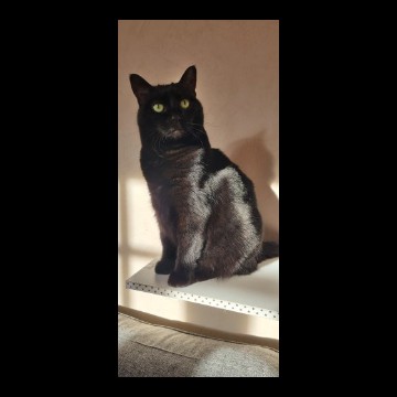 Salem