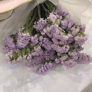 karinaadesign 