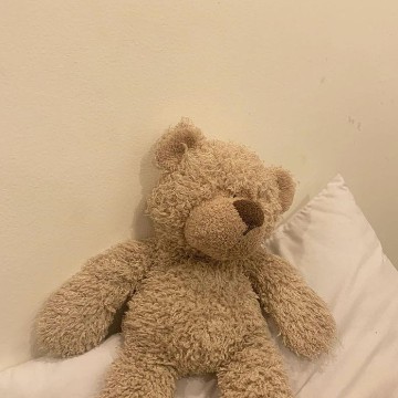 Oso brown