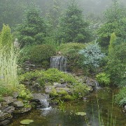 nature3
