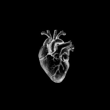 heart black