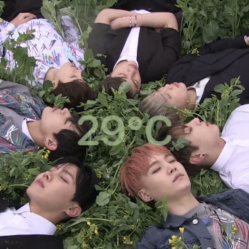 BTS temperature