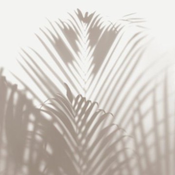 Beige widget 