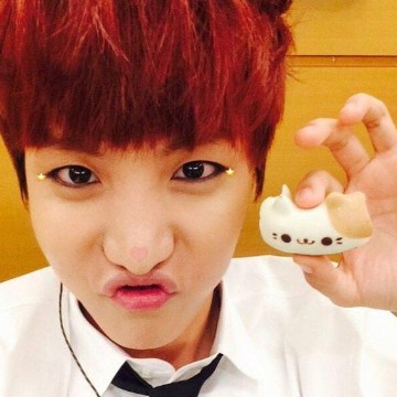 hobi