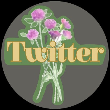 twitter app icon