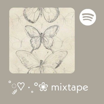 spotify widget